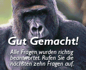 The German version of the wildlive! quiz, showing a gorilla and the text